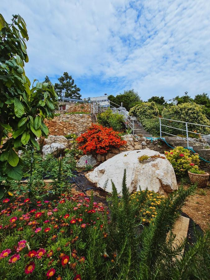 Guest House Davorka Neum Exterior foto